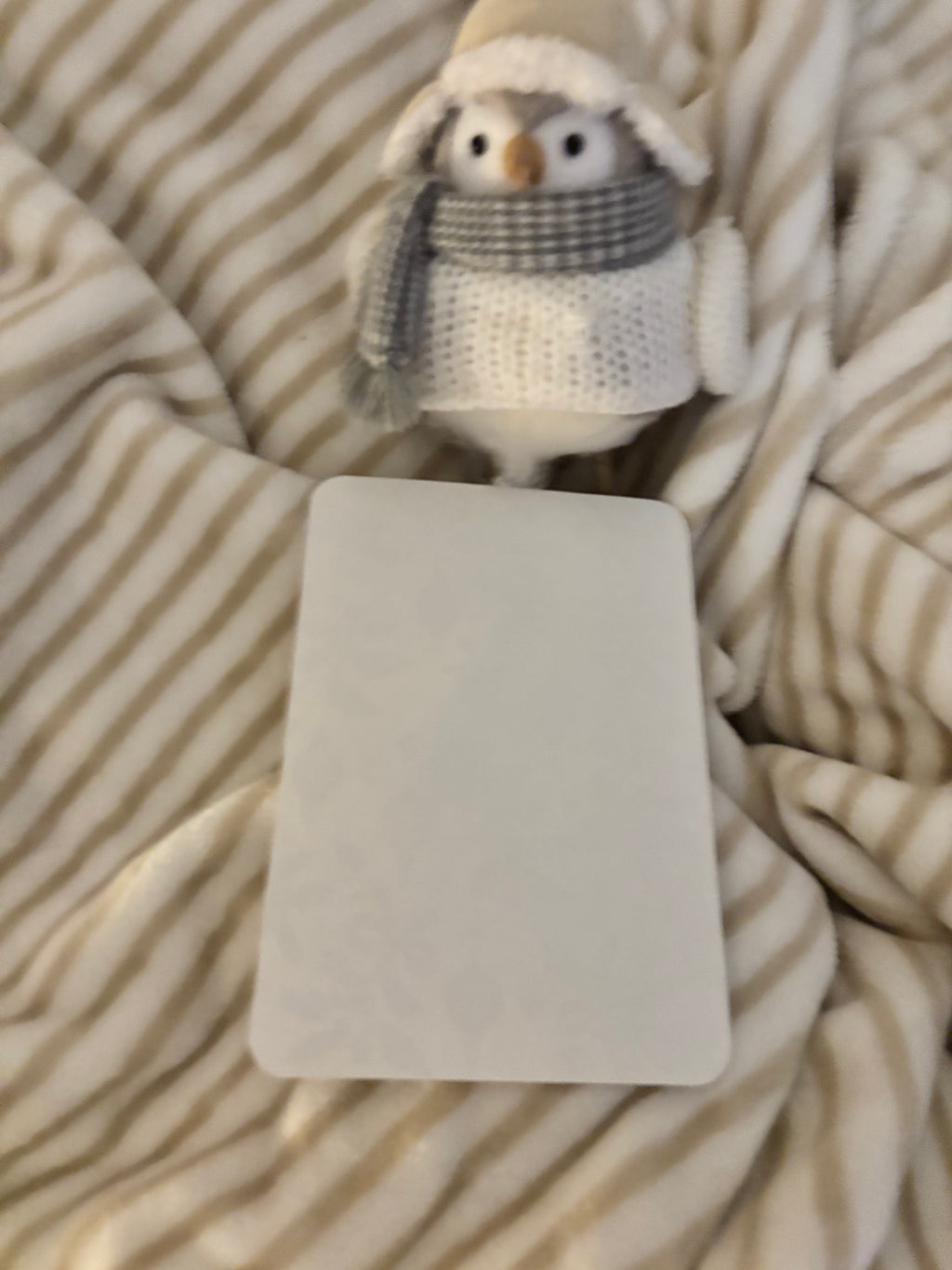 Christmas themed basic kindle insert.